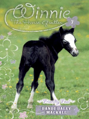 cover image of Friendly Foal